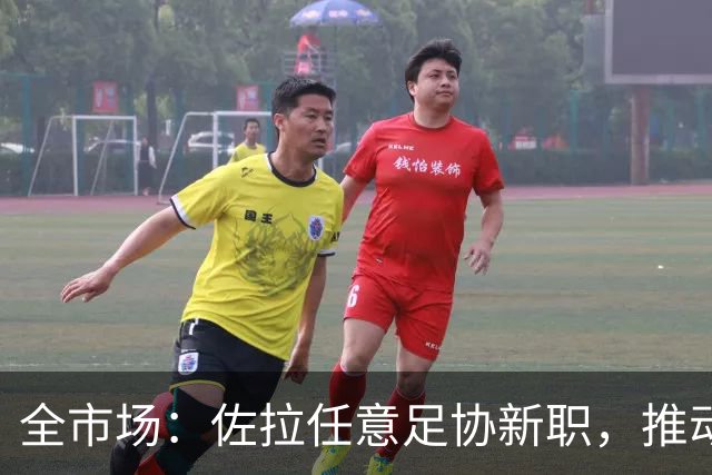 全市场：佐拉任意足协新职，推动意大利青训改革