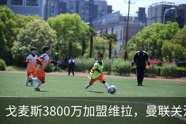 戈麦斯3800万加盟维拉，曼联关注霍尔、罗宾逊并签下18岁边锋