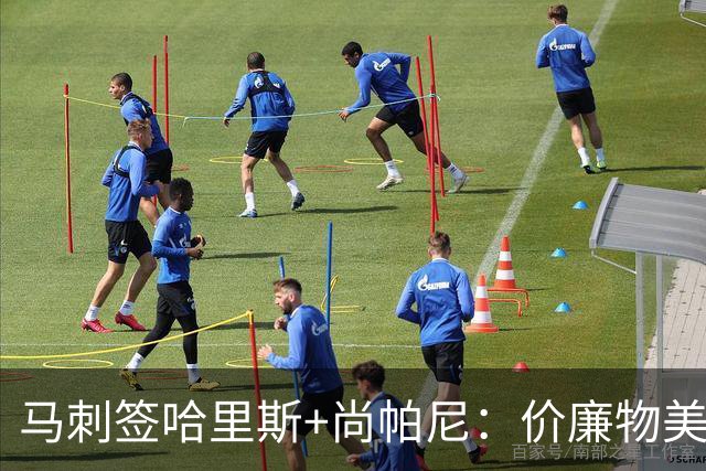 马刺签哈里斯+尚帕尼：价廉物美