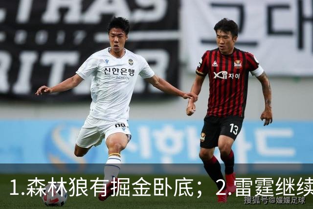 1.森林狼有掘金卧底；2.雷霆继续大逃杀缩圈；3.勇士续约霍福德