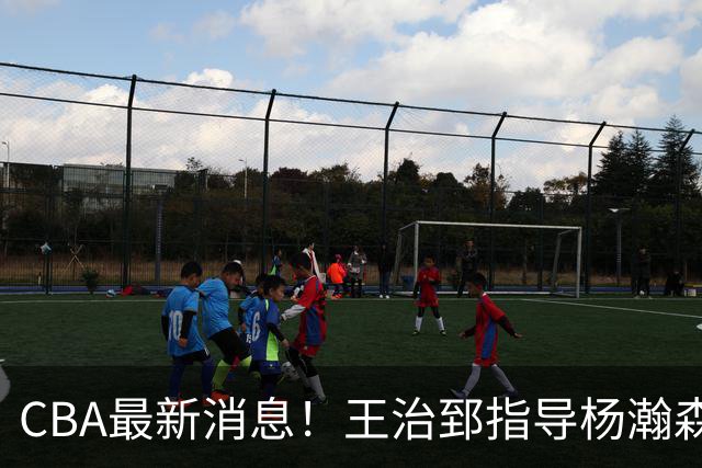 CBA最新消息！王治郅指导杨瀚森，李炎哲官宣大婚，上海或续约闫鹏飞
